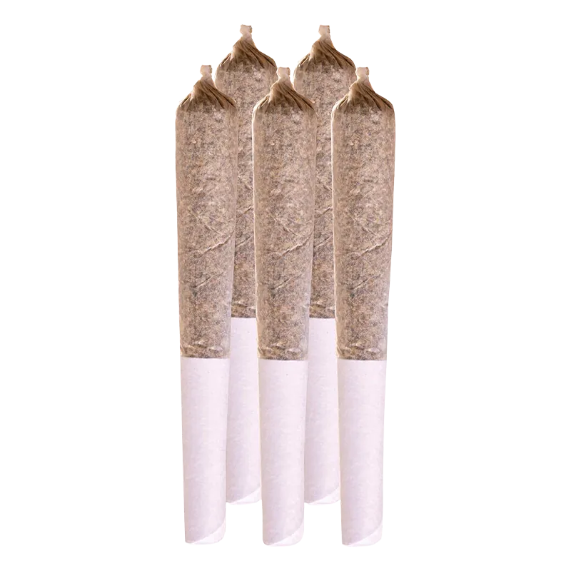 Station House 2.5 g Jack Herer PR 5 x 0.5 g Pre-Rolls