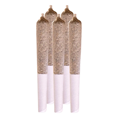 Station House 2.5 g Jack Herer PR 5 x 0.5 g Pre-Rolls
