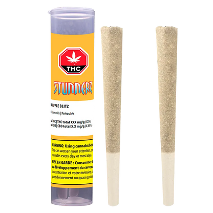 Stunnerz 2 g All Hail Pineapple Blitz PR 2 x 1 g Pre-Rolls