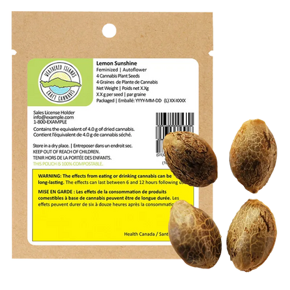 Weathered Islands 4 pack Lemon Sunshine Autoflower Feminized Seeds Cannabis
