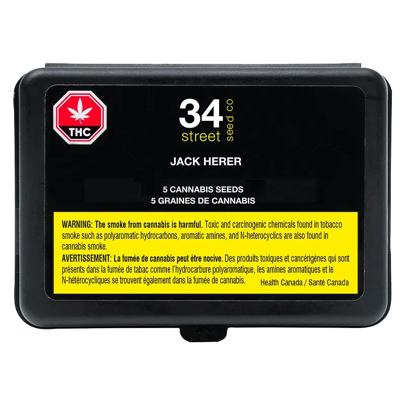 34 Street Seed Co. 5 pack Jack Herer Seeds Cannabis