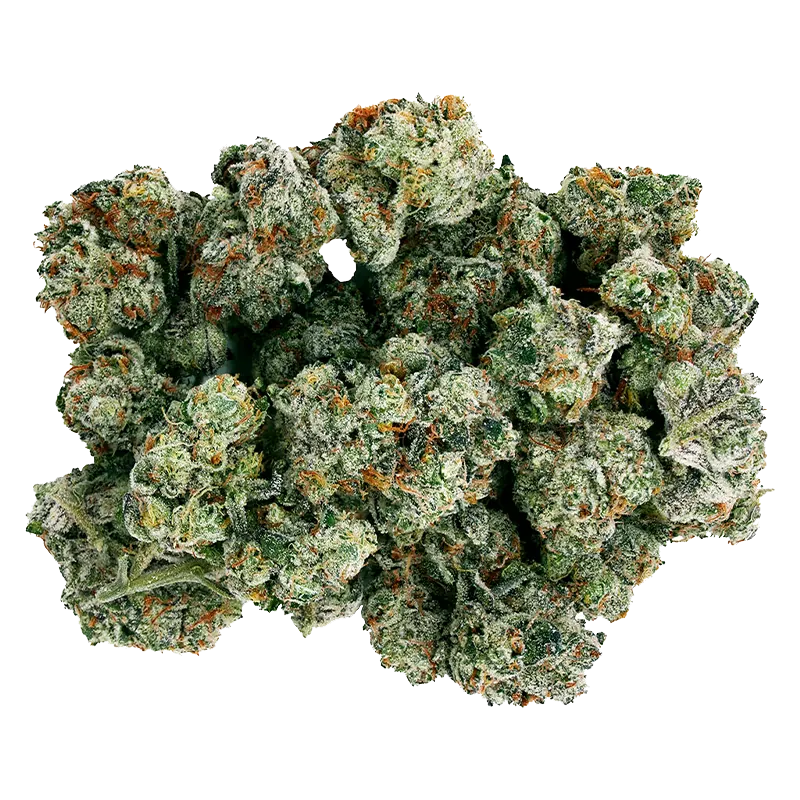 Starting Point 28 g Frenchy Macaroni Whole Flower