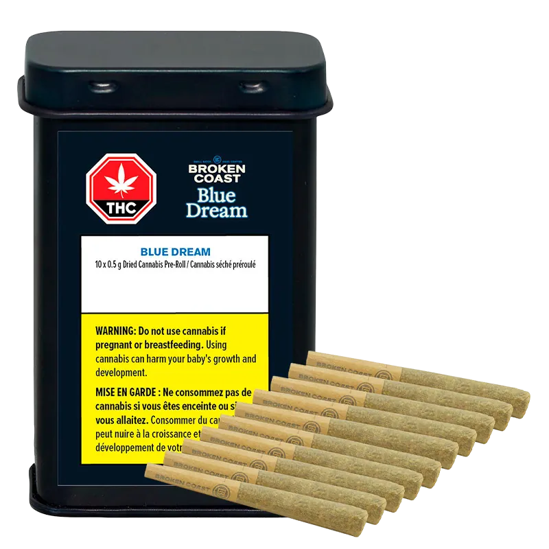 Broken Coast 5 g Blue Dream PR 10 x 0.5 g Joints