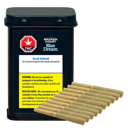 Broken Coast 5 g Blue Dream PR 10 x 0.5 g Joints