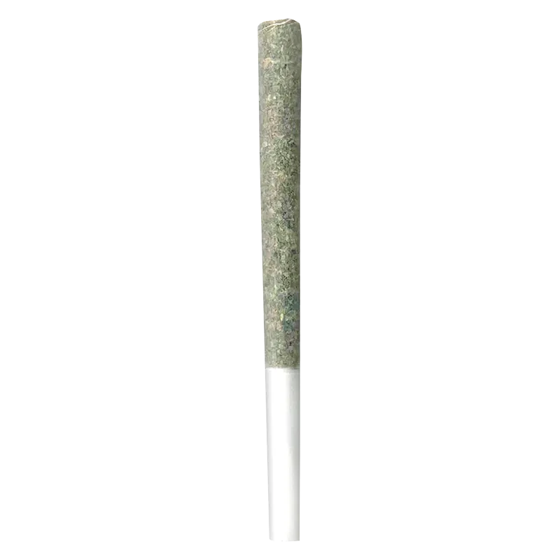 Irony 1.75 g Gelato Punch PR 5 x 0.35 g Pre-Rolls