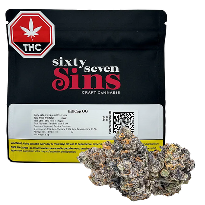 Sixty Seven Sins 3.5 g HellCap OG Flower