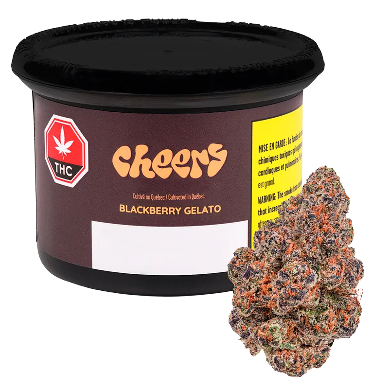 Cheers Cannabis 7 g Blackberry Gelato Flower