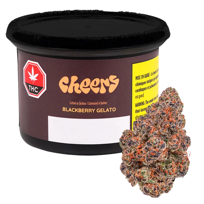 Cheers Cannabis 7 g Blackberry Gelato Flower