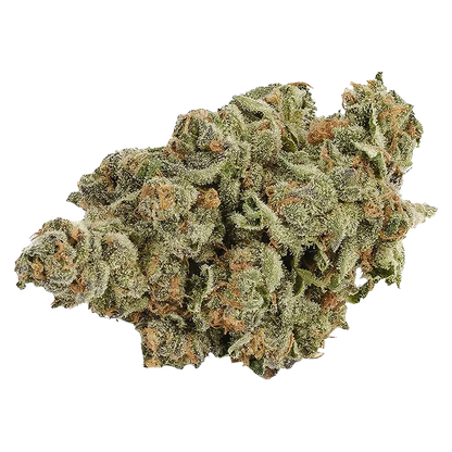 Cabana Cannabis Co. 14 g Island Time Flower