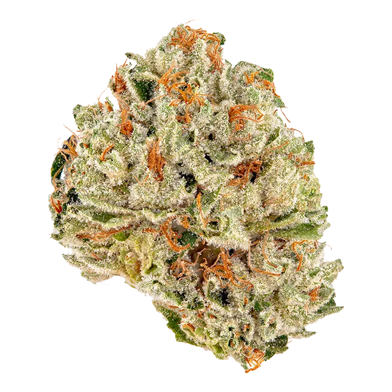 Ripped 28 g Zooted Whole Flower