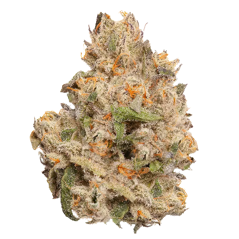 EastCann 7 g Pineapple Bang Bang Flower