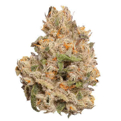 EastCann 7 g Pineapple Bang Bang Flower