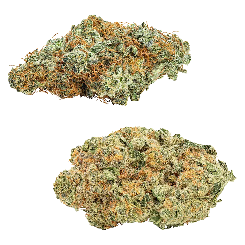 Big Bag O'Buds 28 g Comboz Amnesia OG & Tropicanna Tangie Flower