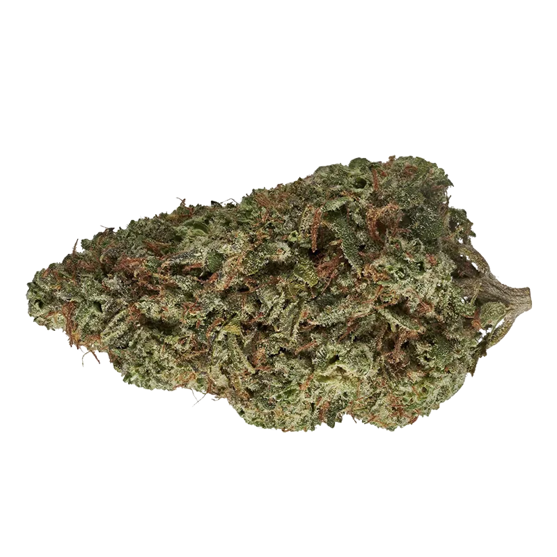 Tribal 14 g Cuban Linx Flower
