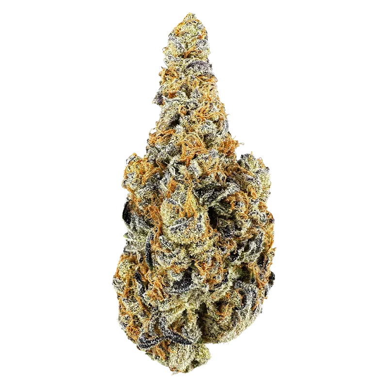 Castle Rock Farms 14 g Zombie Breath Flower