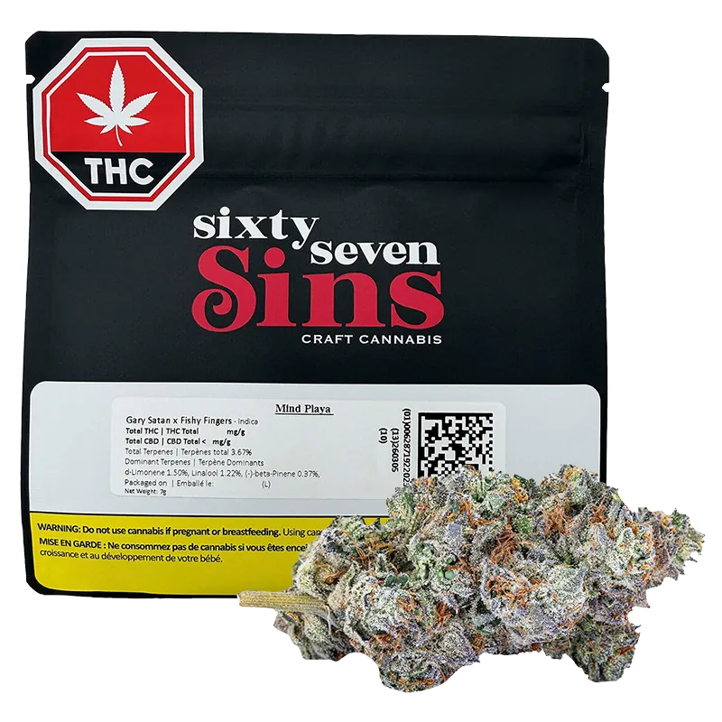 Sixty Seven Sins 7 g Mind Playa Flower