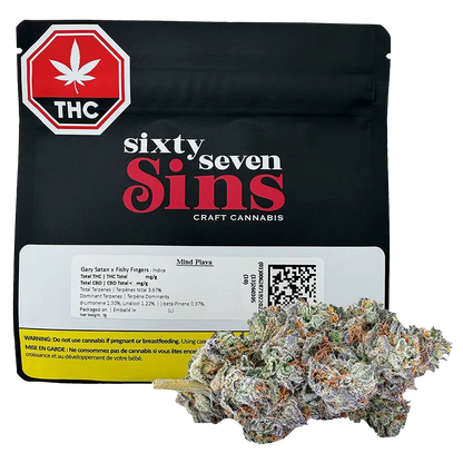 Sixty Seven Sins 7 g Mind Playa Flower