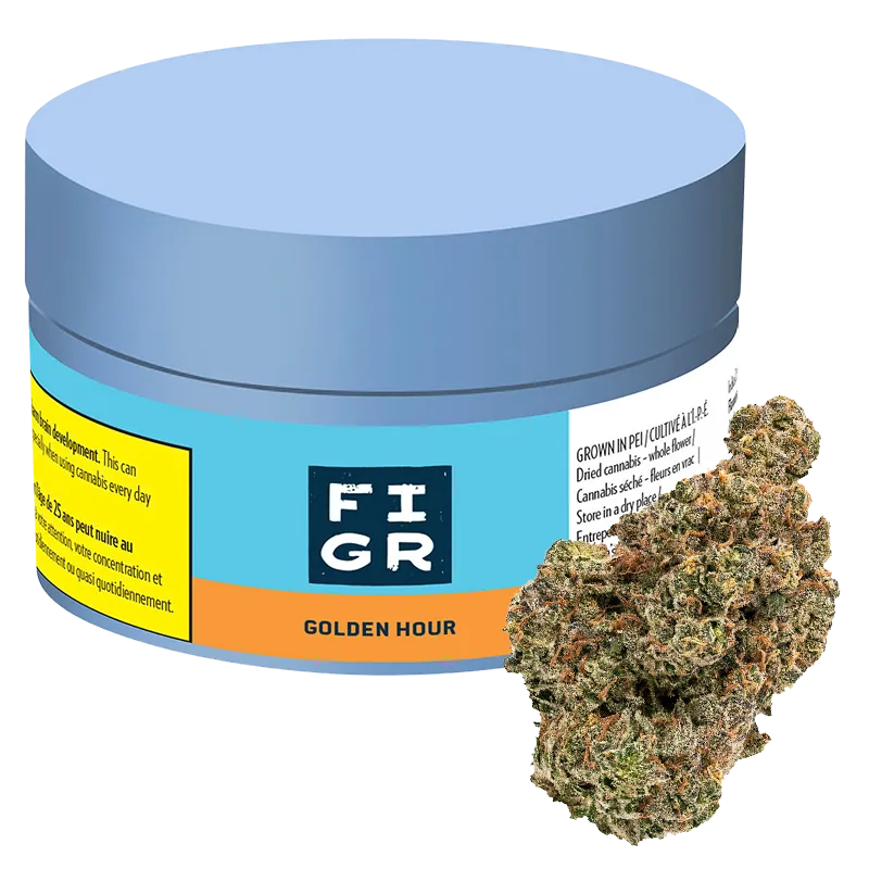 Figr 7 g Golden Hour Flower