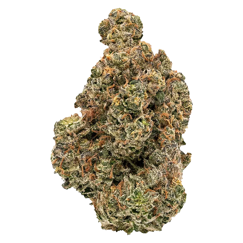 Figr 7 g Golden Hour Flower