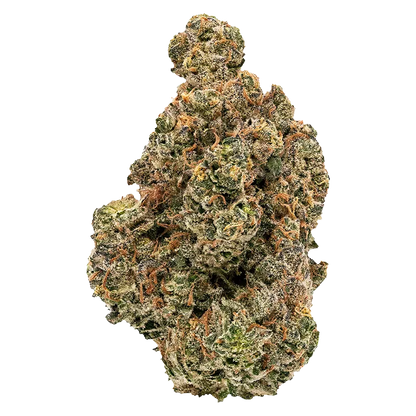 Figr 7 g Golden Hour Flower