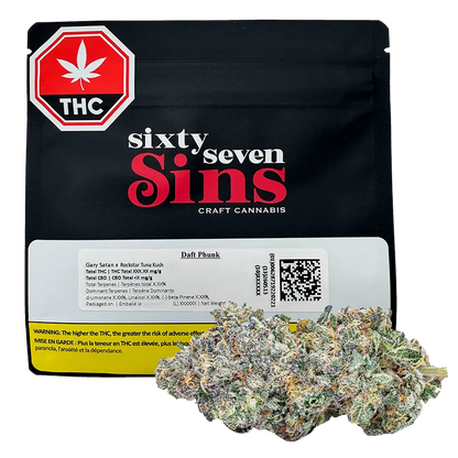 Sixty Seven Sins 7 g Daft Phunk Flower