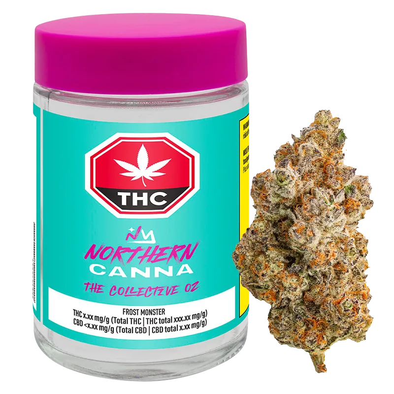 Northern Canna 14 g Frost Monster Flower