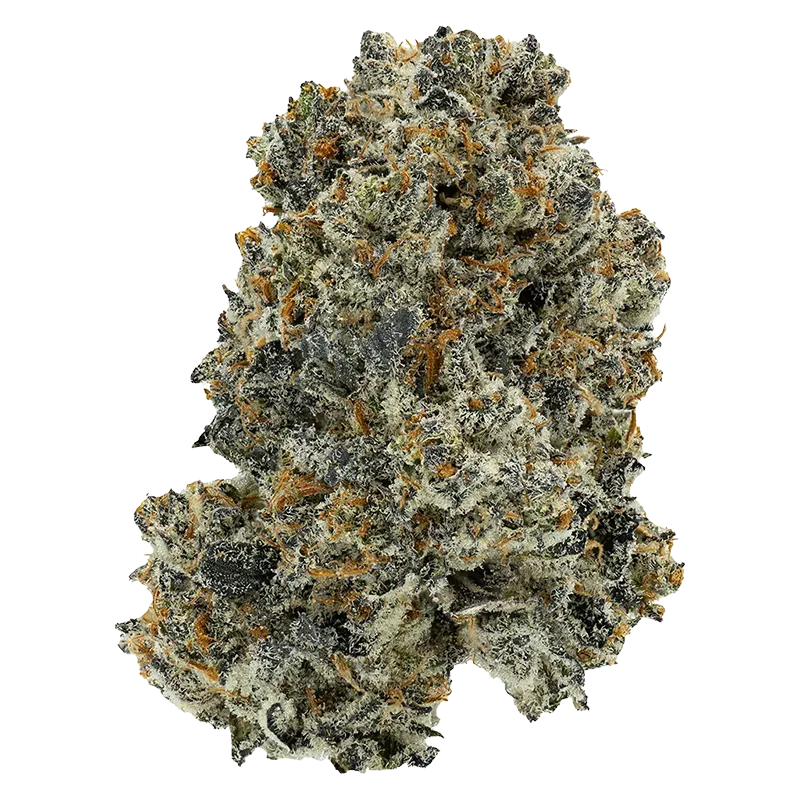 Bonkers 28 g Dream Catcher Flower