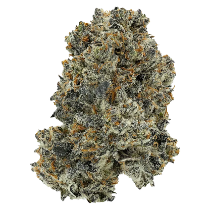 Bonkers 28 g Dream Catcher Flower