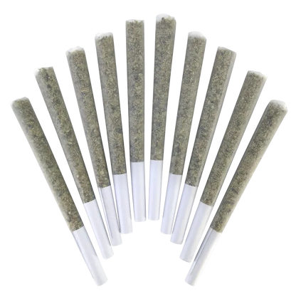 BC Doobies 5 g Thai Stick PR 10 x 0.5 g Pre-Rolls