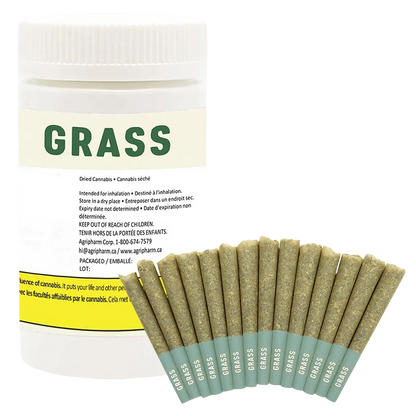Grass 7 g Bangerine PR 14 x 0.5 g Pre-Rolls
