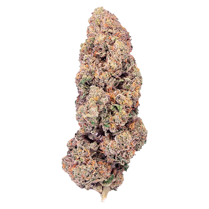 Purplefarm 3.5 g Super Boof Flower