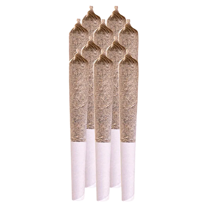 Station House 5 g Rockstar Kush PR 10 x 0.5 g Pre-Rolls