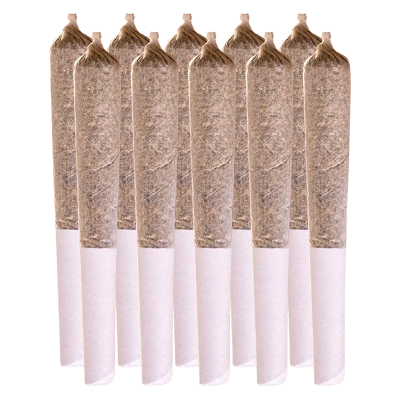 Station House 5 g Summer Legacy Variety Pack PR 10 x 0.5 g Pre-Rolls