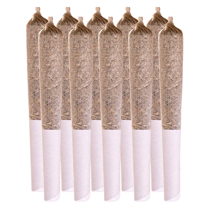 Station House 5 g Summer Legacy Variety Pack PR 10 x 0.5 g Pre-Rolls