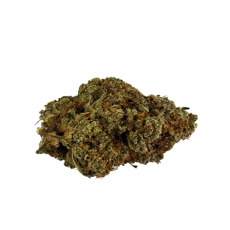 Virtue Cannabis 14 g Champagne Supernova Flower