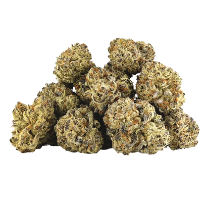 Good & Baked 14 g Wheres My Bike Flower