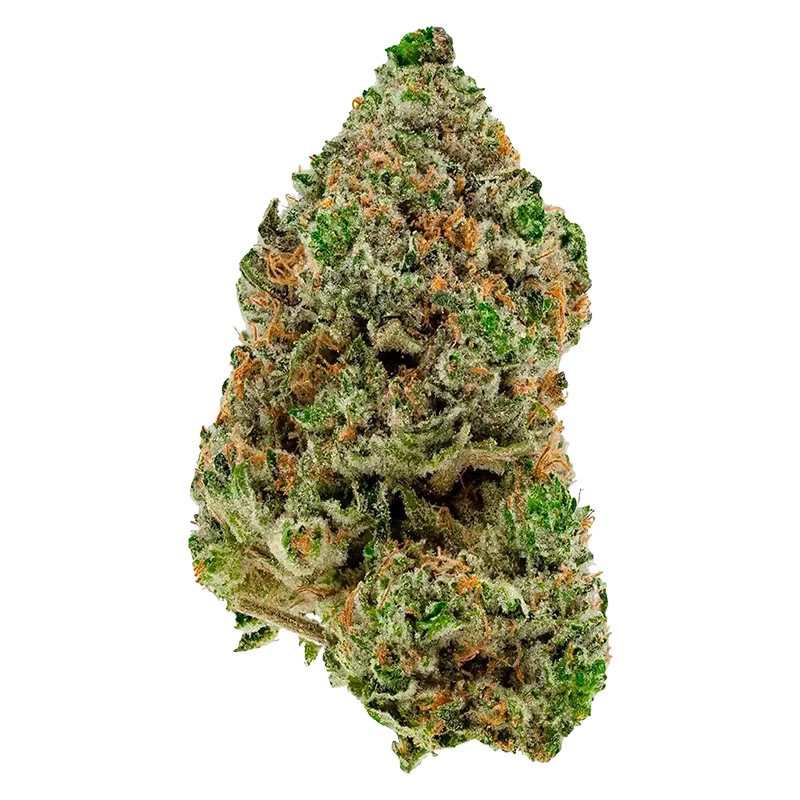 Simply Bare Organic 3.5 g Bc Organic Hibachi Blue Flower