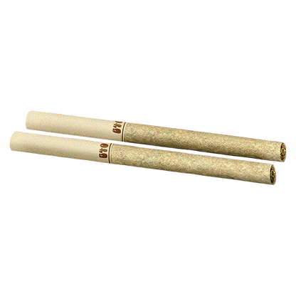 Back Forty 2 g Daytrippers Galactic Jack PR 2 x 1 g Pre-Rolls