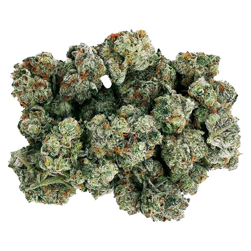 Starting Point 14 g Frenchy Macaroni Flower