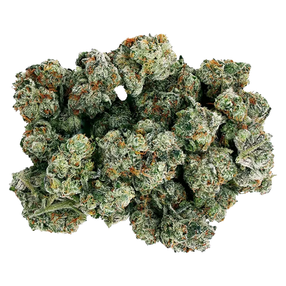 Starting Point 14 g Frenchy Macaroni Flower