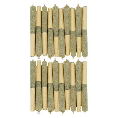Star Chase PR 20 x 0.5 g