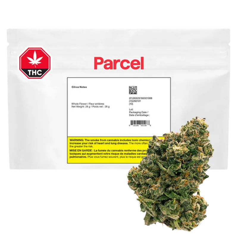 Parcel 28 g Citrus Notes Flower