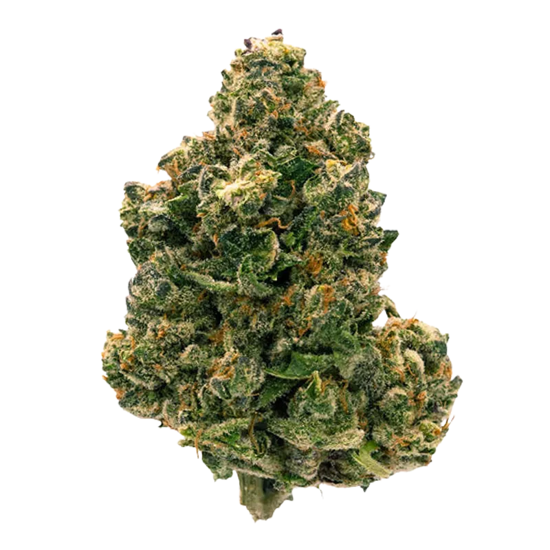 Parcel 28 g Citrus Notes Flower