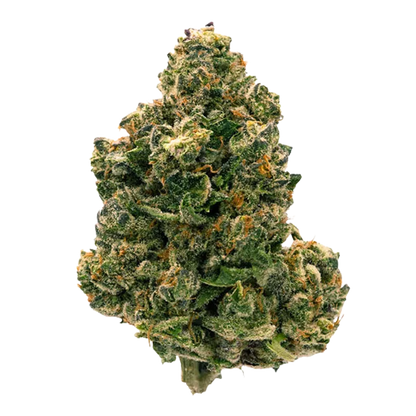 Parcel 28 g Citrus Notes Flower