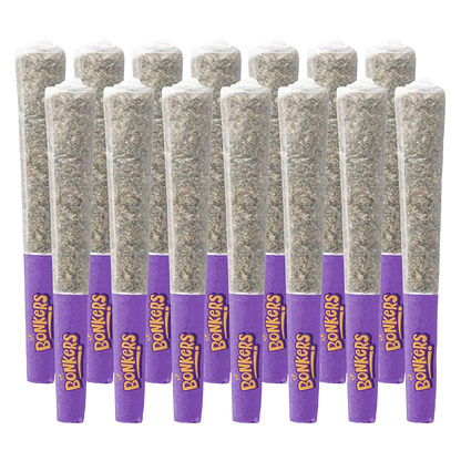 Bonkers 7 g Dream Catcher PR 14 x 0.5 g Pre-Rolls