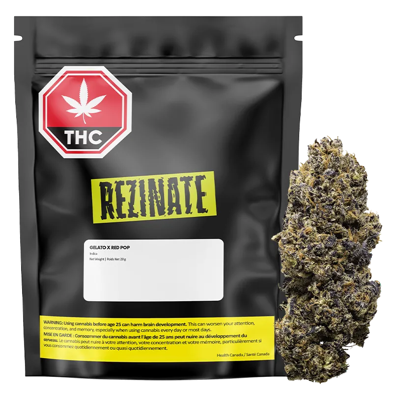 Rezinate 28 g Gelato x Red Pop Flower