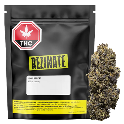 Rezinate 28 g Gelato x Red Pop Flower