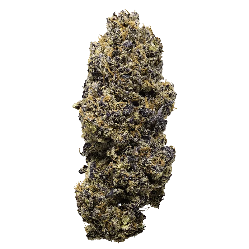 Rezinate Gelato x Red Pop Flower