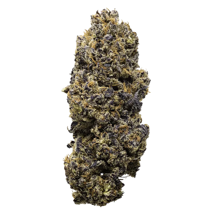 Rezinate Gelato x Red Pop Flower