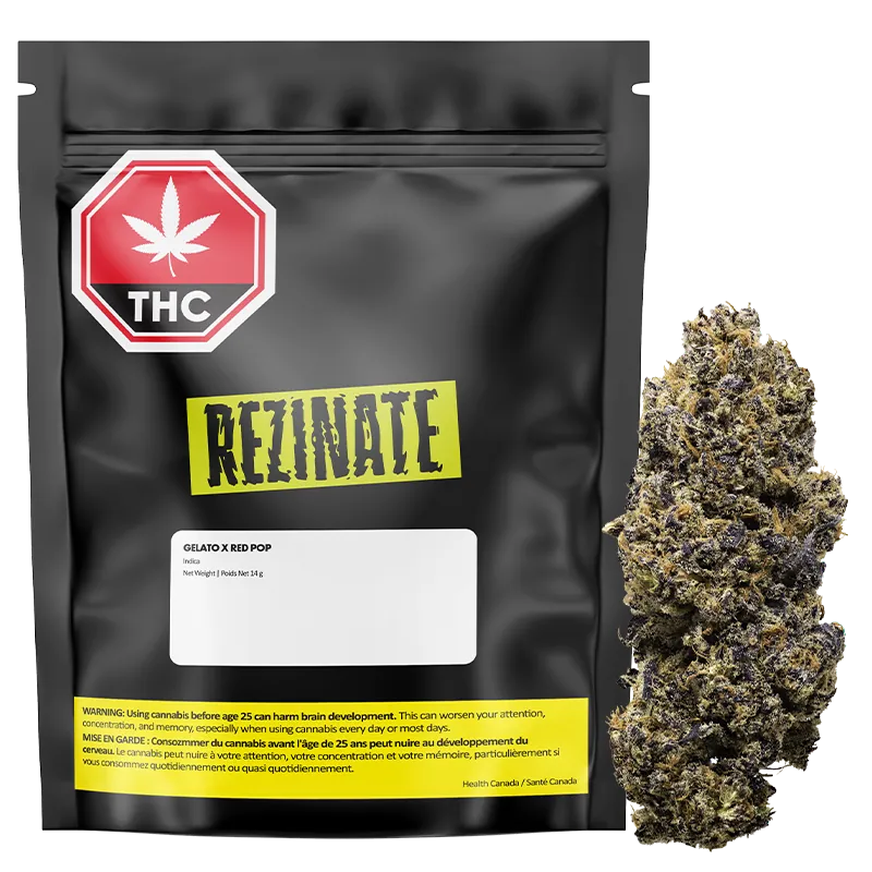 Rezinate 14 g Gelato x Red Pop Flower